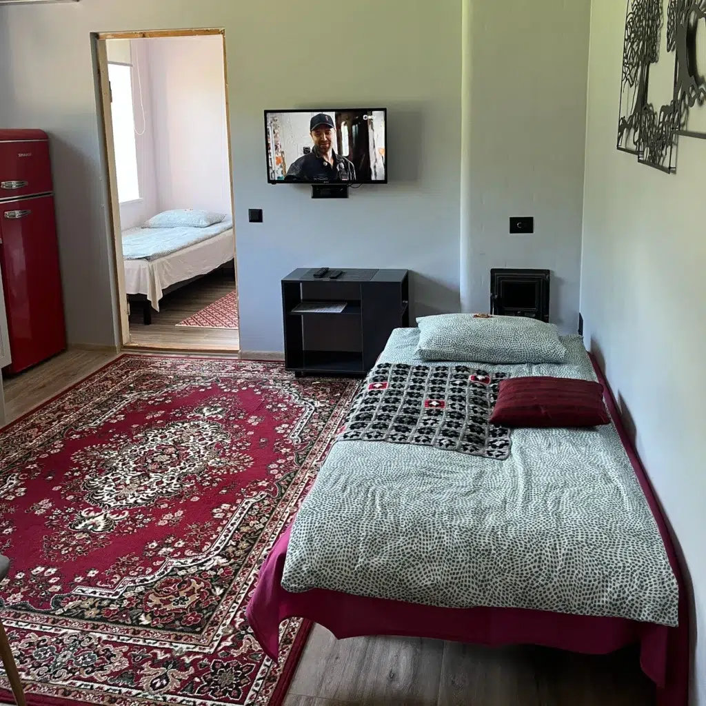 Elutuba diivanvoodiga ja seinadekooriga Roomassaare 12 korteris