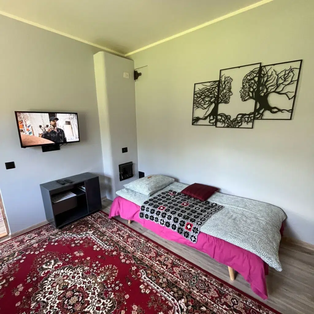 Elutuba diivanvoodiga ja seinadekooriga Roomassaare 12 korteris